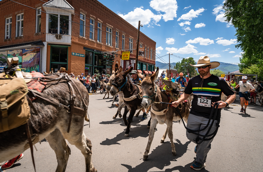 Photo Donkey Race