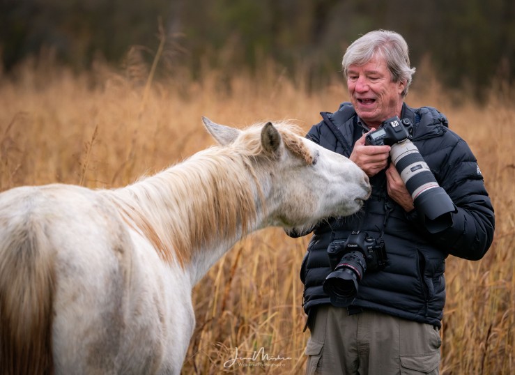 horse smells photographer